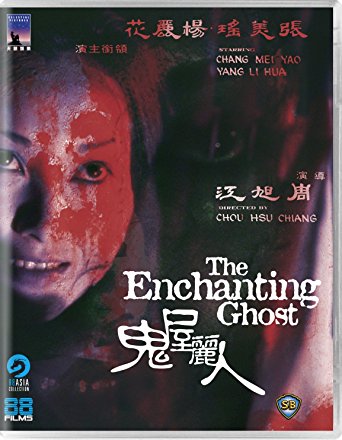 THE ENCHANTING GHOST